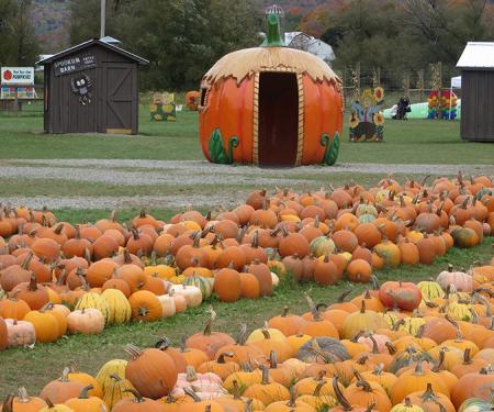 Pumpkin shack at Pumpkinville